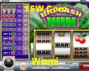 Responsive Design Winmi