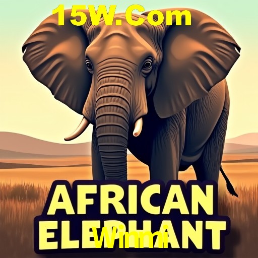 A Experiência Imersiva dos Cassinos Ao Vivo no Winmi