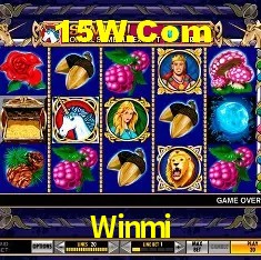 Login Seguro Winmi