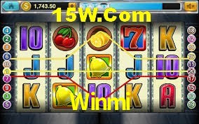 Sports Statistics Winmi