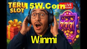 Statistics Winmi